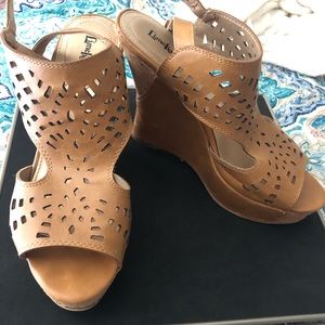 Limelight wedges